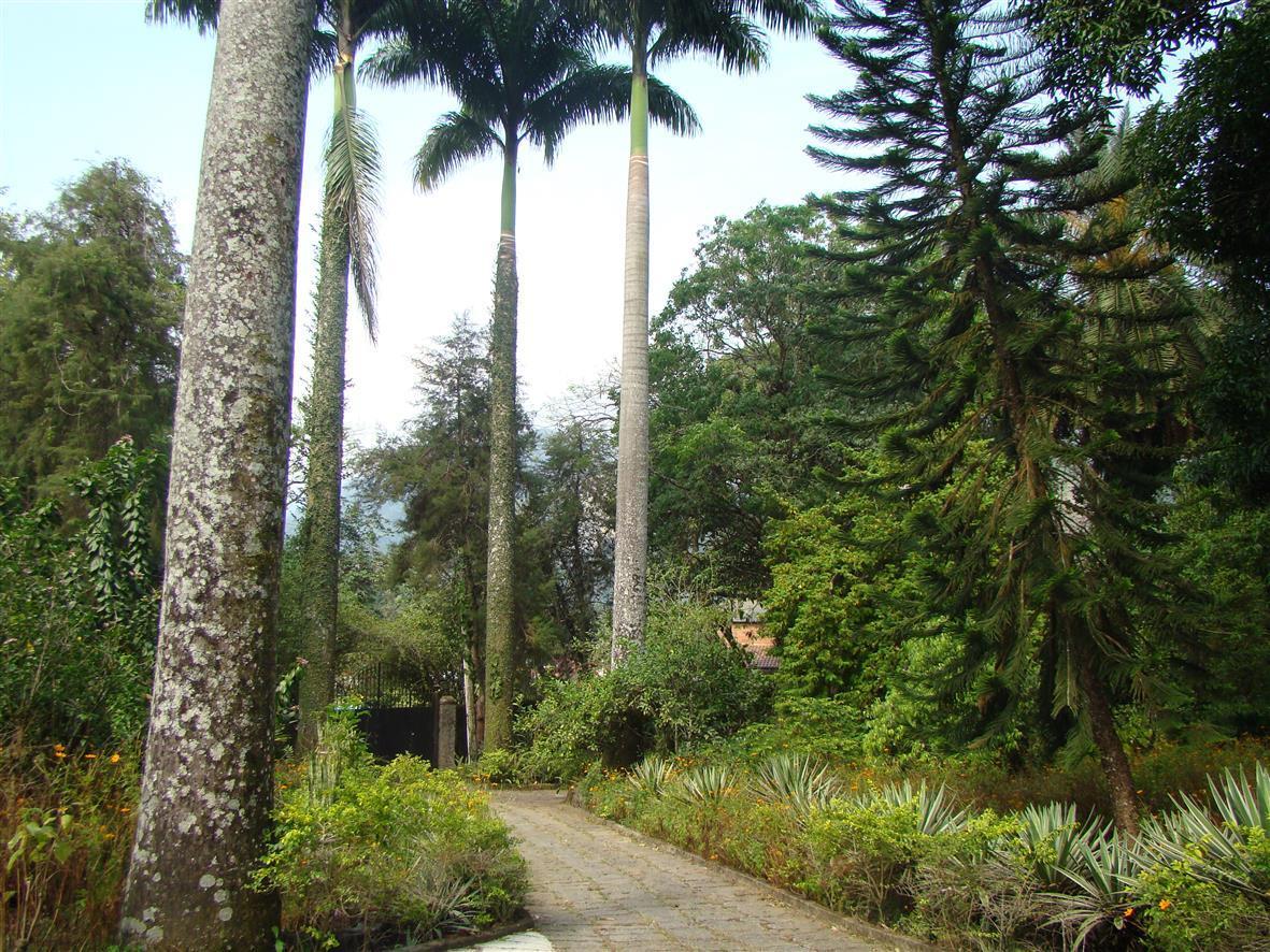 Casa De Campo Dos Sonhos Bed and Breakfast Cachoeiras de Macacu Zewnętrze zdjęcie